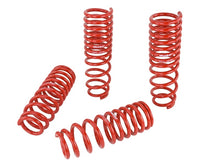 Load image into Gallery viewer, Skunk2 Racing 519-05-1660 -  -Skunk2 93-01 Honda Prelude (All Models) Lowering Springs (2.25in2.00in.) (Set of 4)