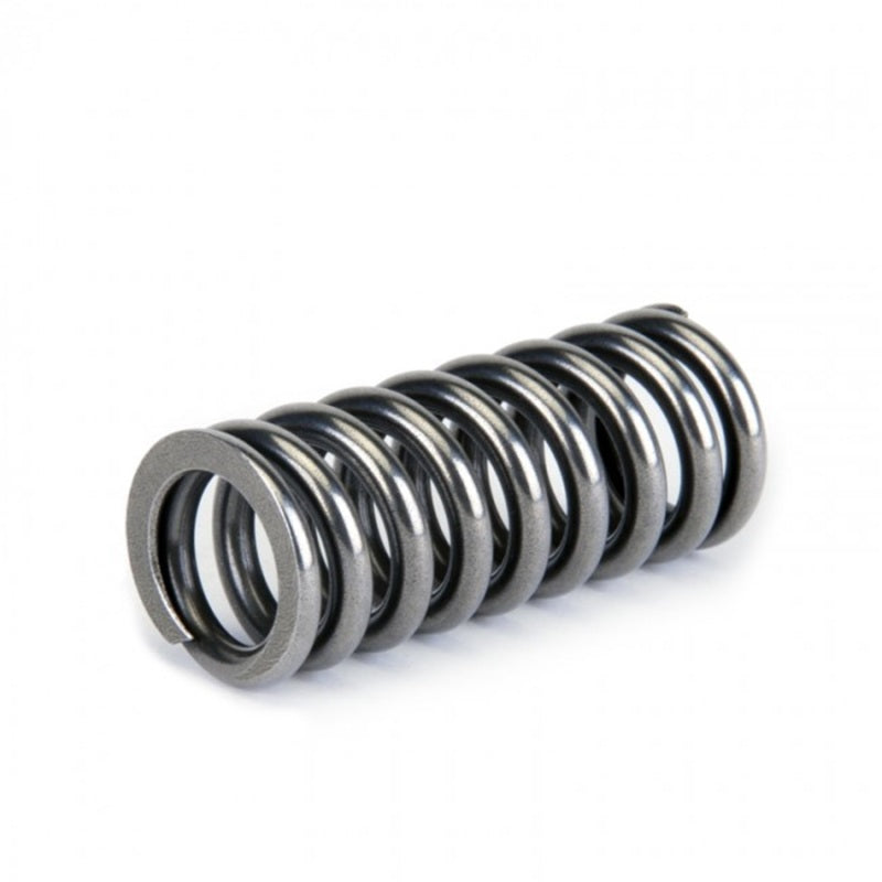Skunk2 Racing 311-05-1345 -  -Skunk2 Alpha Series Honda D Series VTEC Valve Spring Set