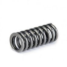 Load image into Gallery viewer, Skunk2 Racing 311-05-1345 -  -Skunk2 Alpha Series Honda D Series VTEC Valve Spring Set