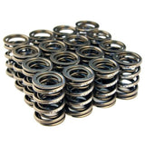 BLOX Racing BXPT-10302 - Valve Springs for B18A-B / B20 (1.8L-2.0L DOHC)